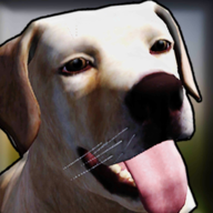 狗收容所模拟器3D V6.0 安卓版