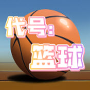 代号篮球 V1.0 安卓版